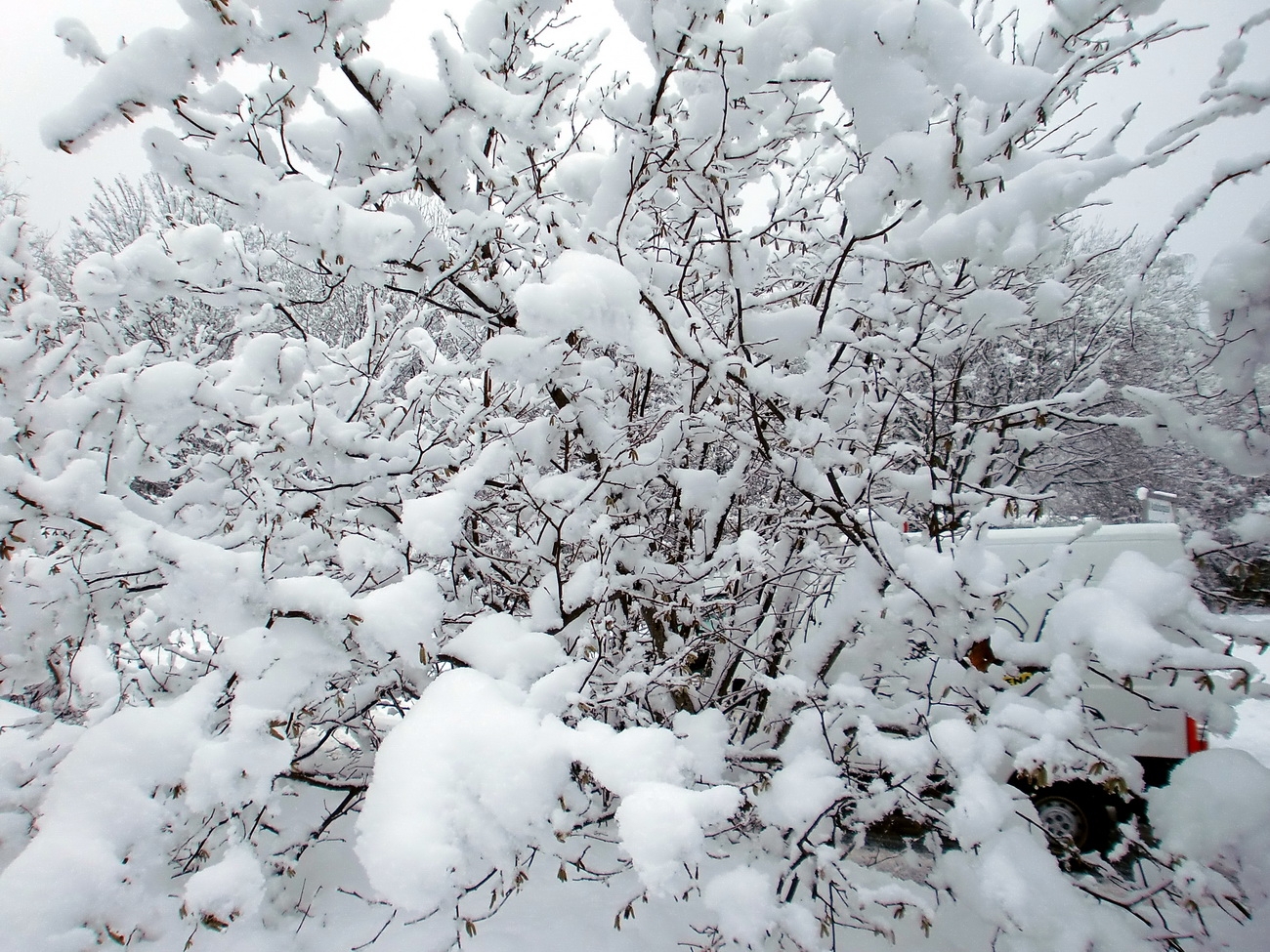 Winter 2010