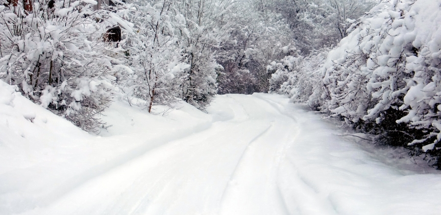 Winter 2010