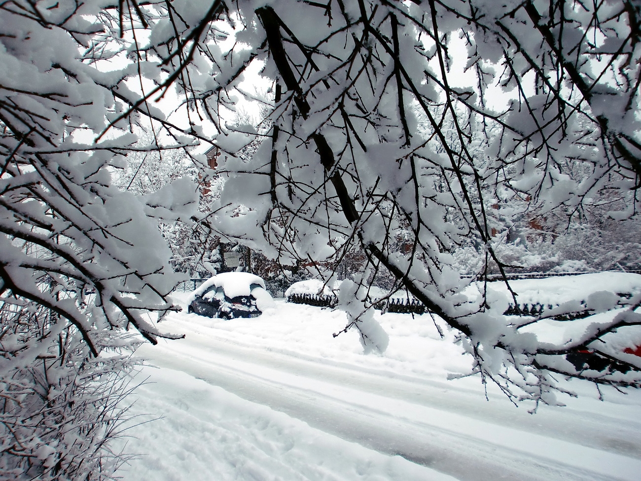 Winter 2010