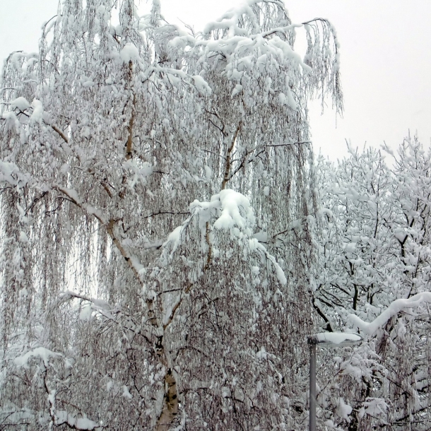 Winter 2010