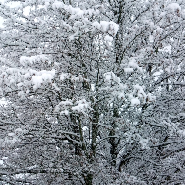 Winter 2010