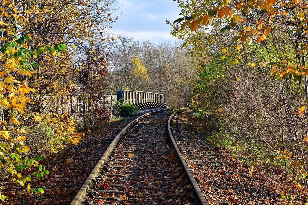 SlideShow | Naturaufnahmen 
