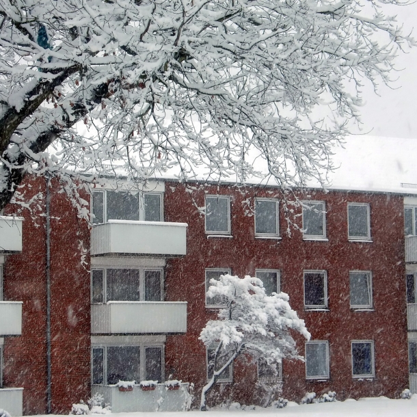 Winter 2010