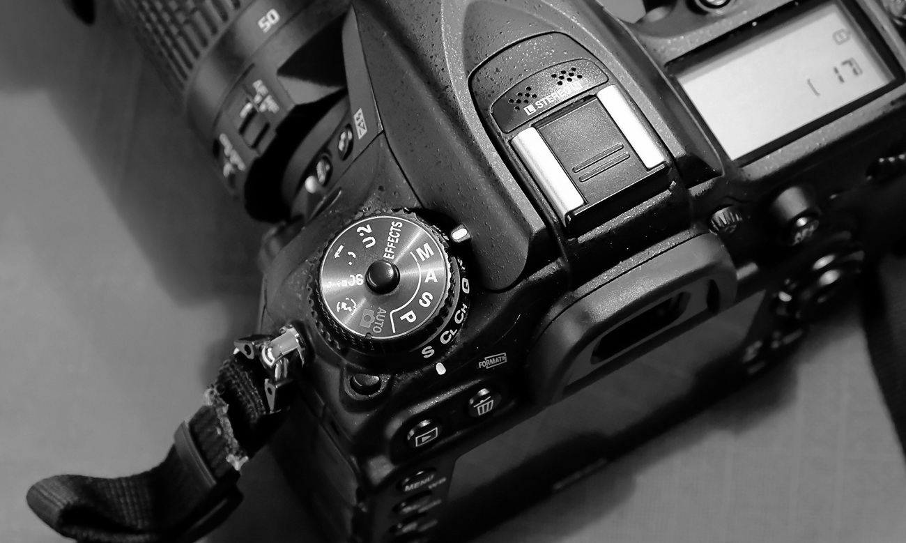 Nikon D7100