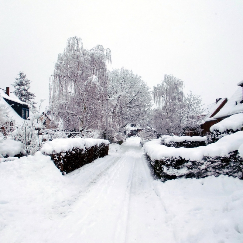Winter 2010
