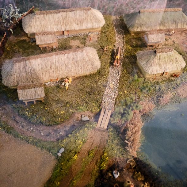 Schloss Gottorf in Schleswig