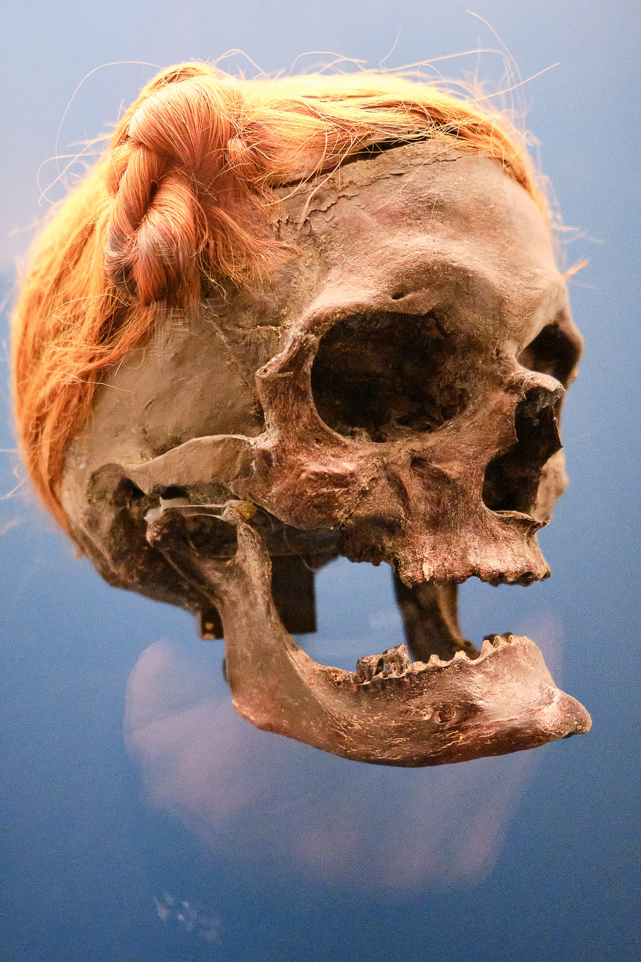 Schloss Gottorf in Schleswig