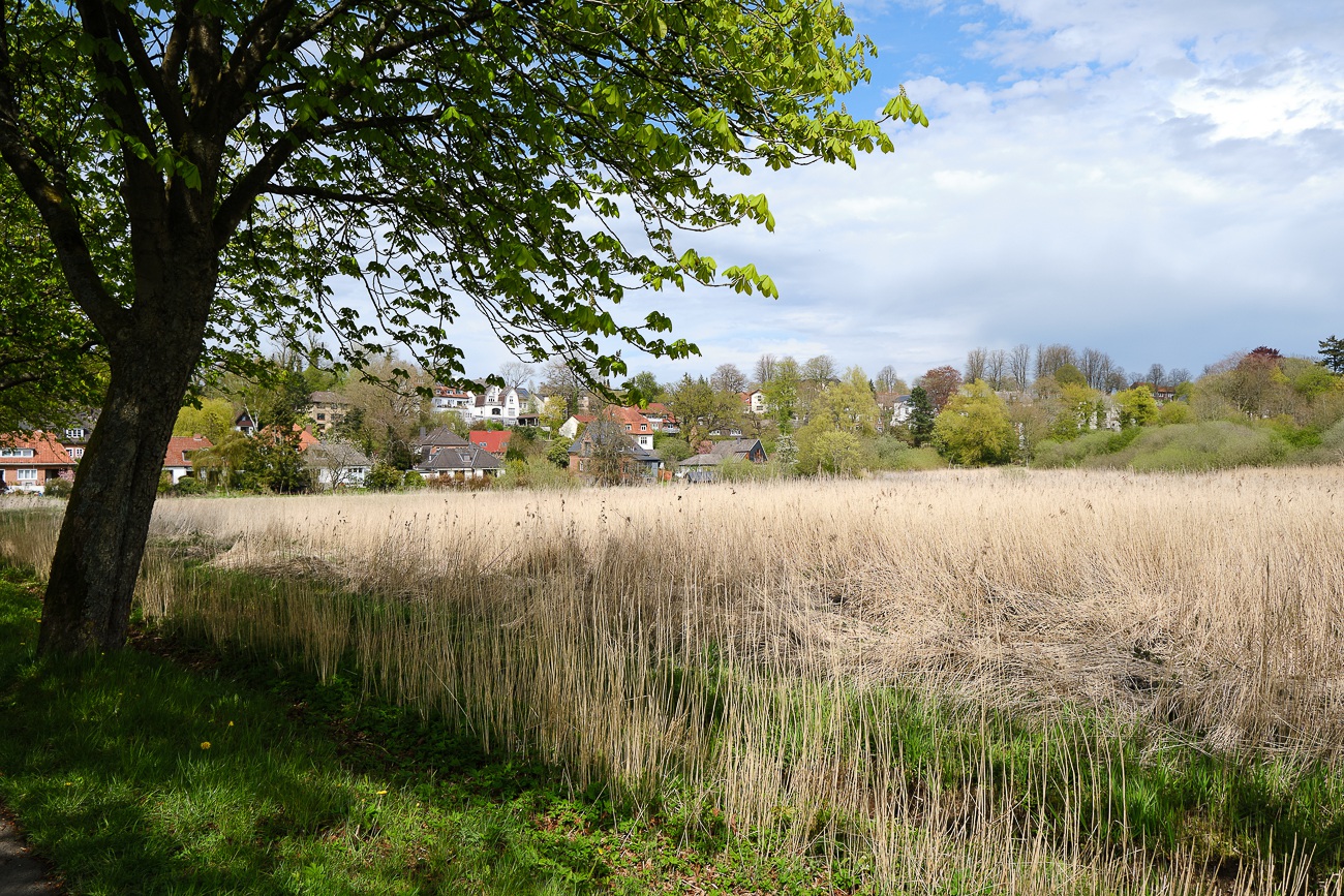 Schloss Gottorf in Schleswig