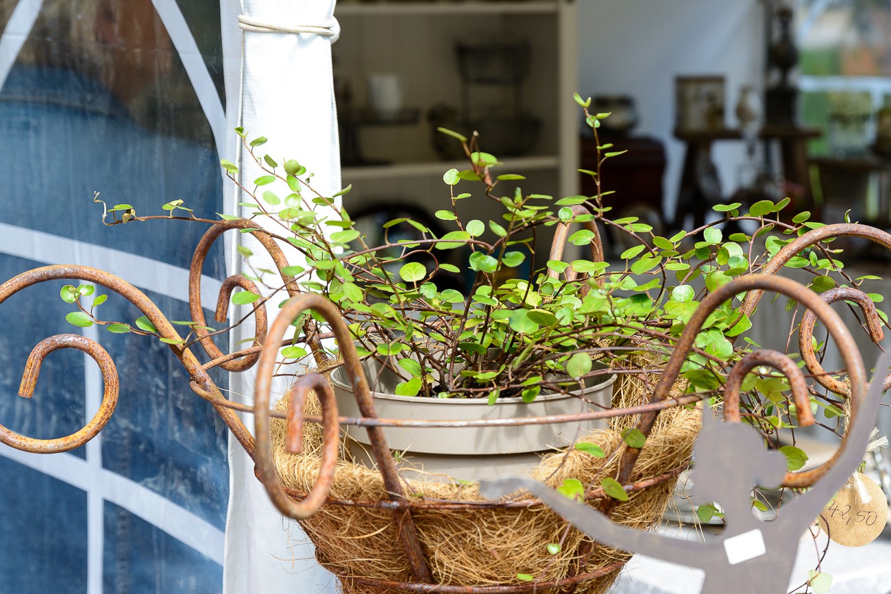 Sommermarkt 2017 auf Schloss Hagen