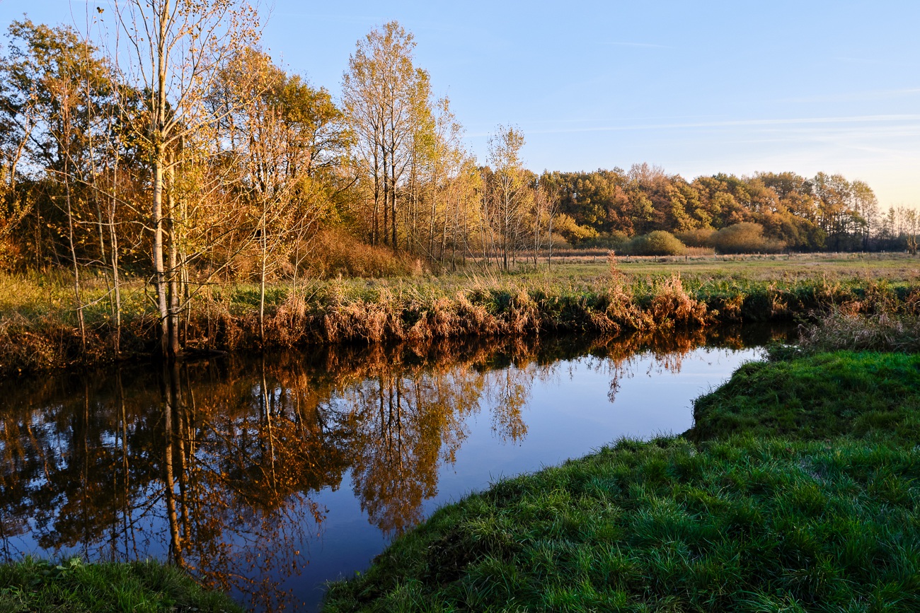 Treenetal bei Tarp 2019