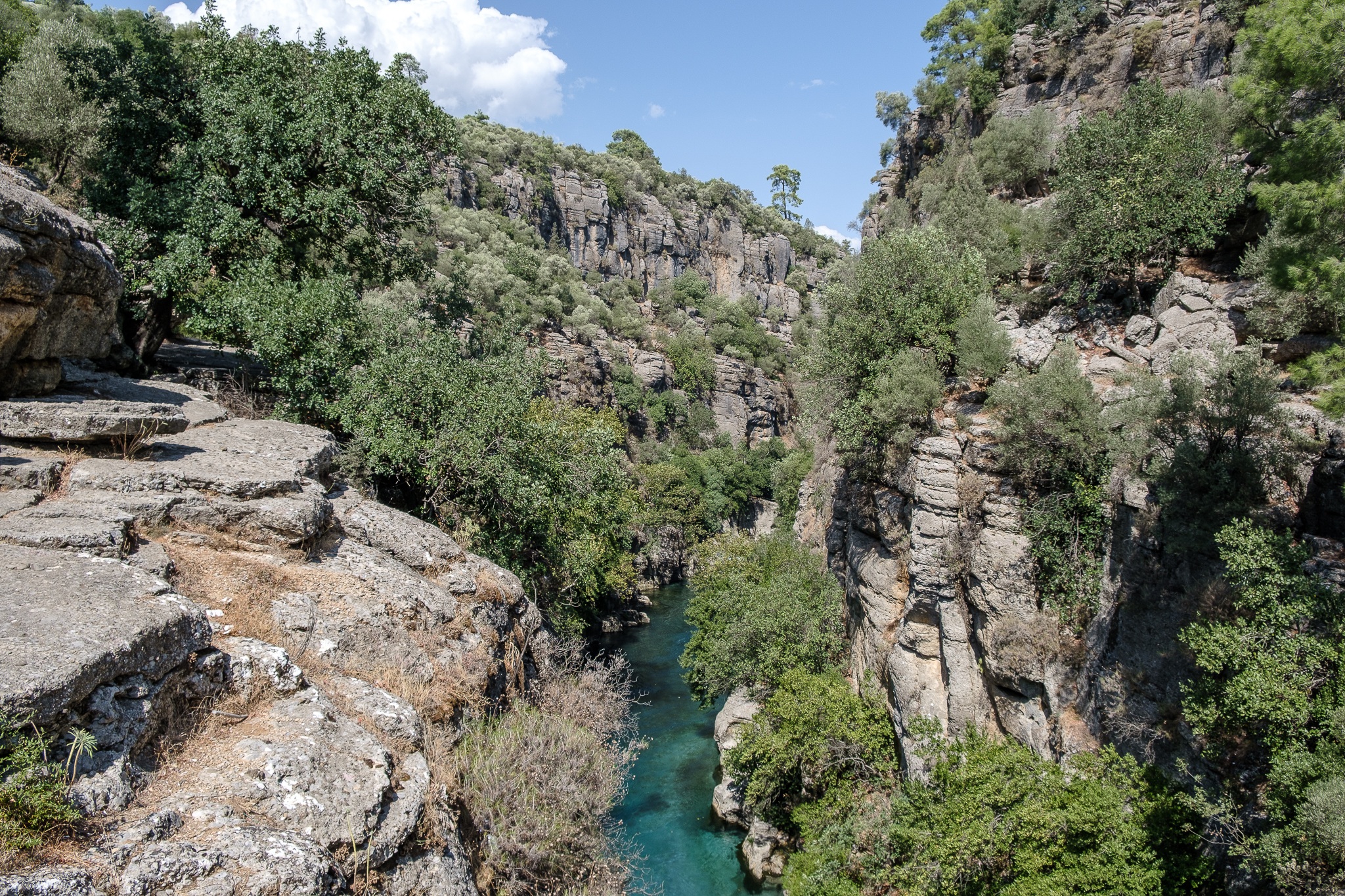 Der Fluss Beşkonak u. der Köprülü Canyon