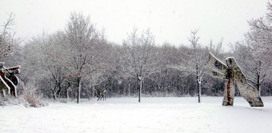 Winter 2010