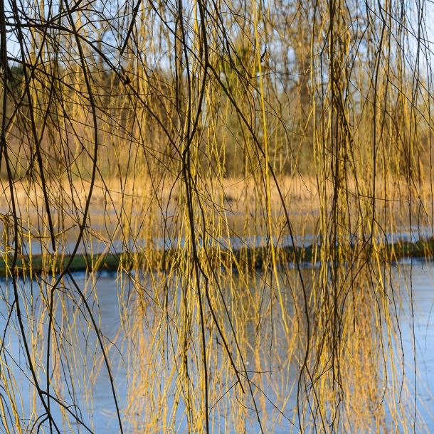 Schloss Gravenstein (DK) 2018
