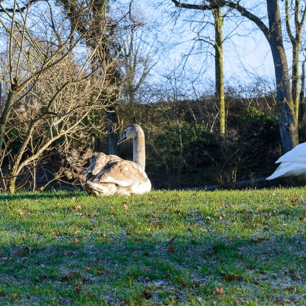 Schloss Gravenstein (DK) 2018