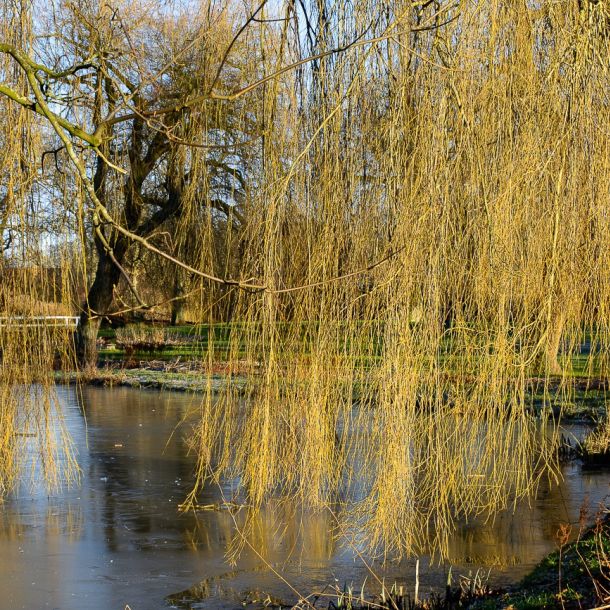 Schloss Gravenstein (DK) 2018