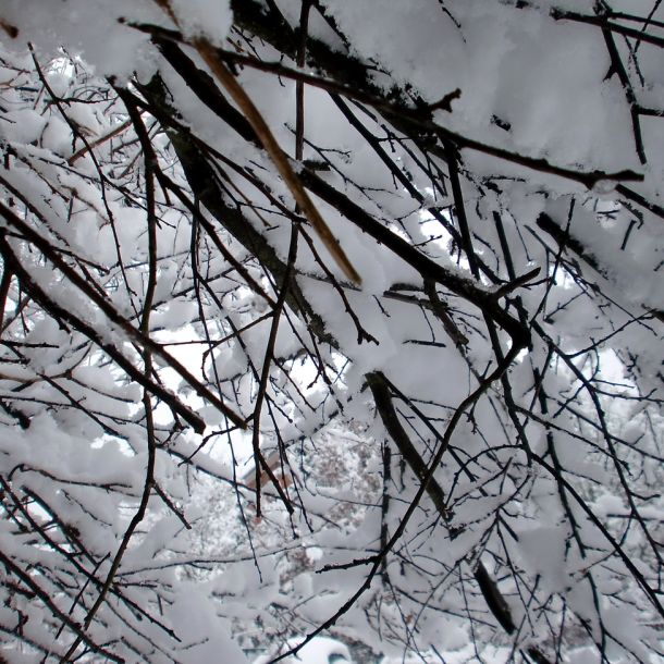 Winter 2010