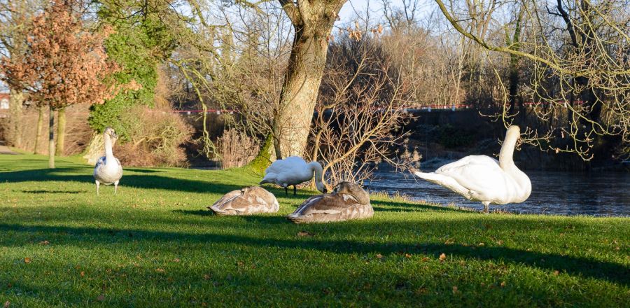 Schloss Gravenstein (DK) 2018
