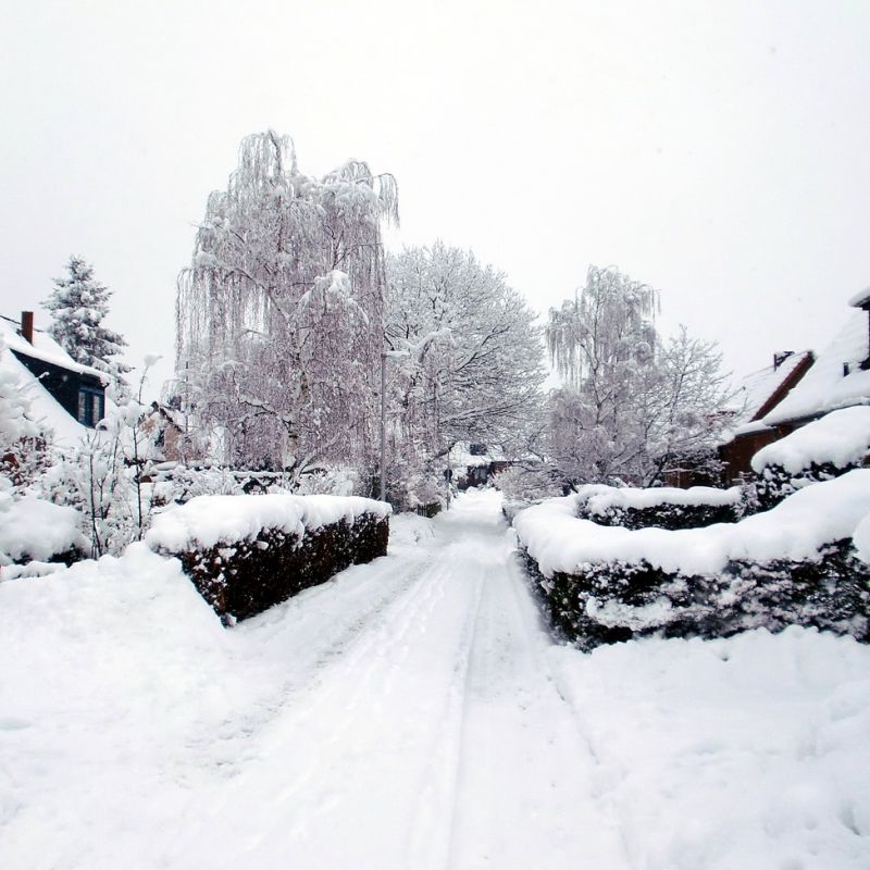 Winter 2010