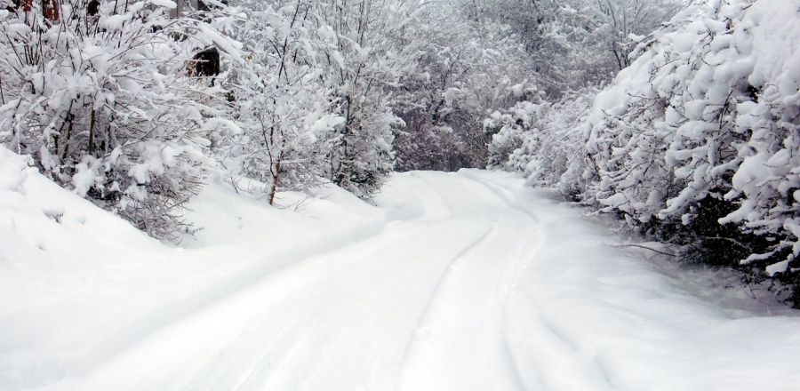 Winter 2010