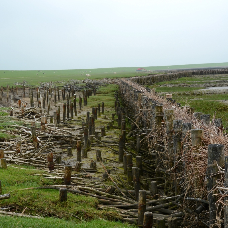 An der Nordsee 2021
