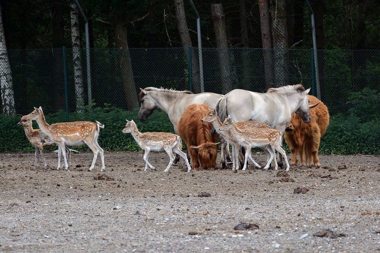 Serengeti Park Hodenhagen