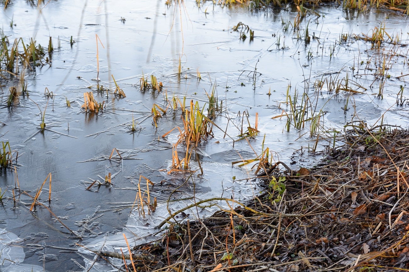 Schloss Gravenstein (DK) 2018