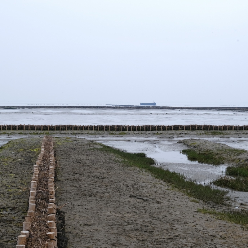 An der Nordsee 2021