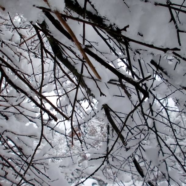 Winter 2010