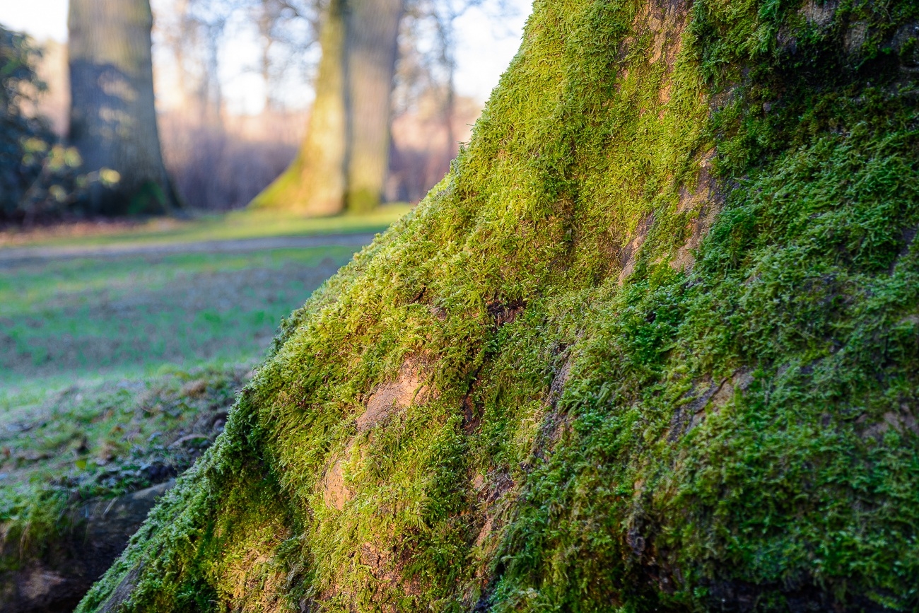 Schloss Gravenstein (DK) 2018