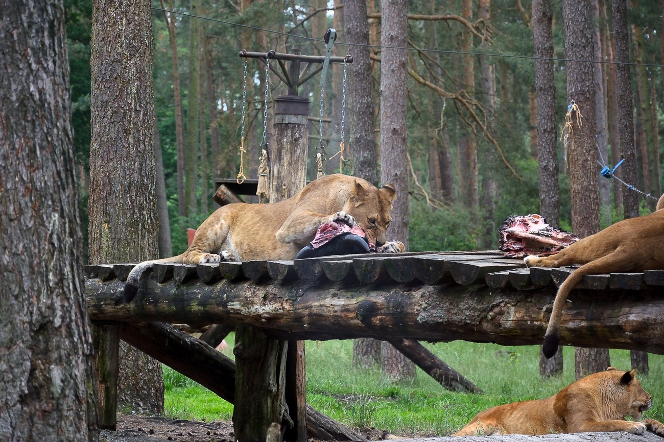 Serengeti Park Hodenhagen
