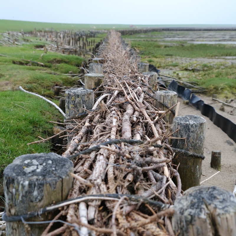 An der Nordsee 2021