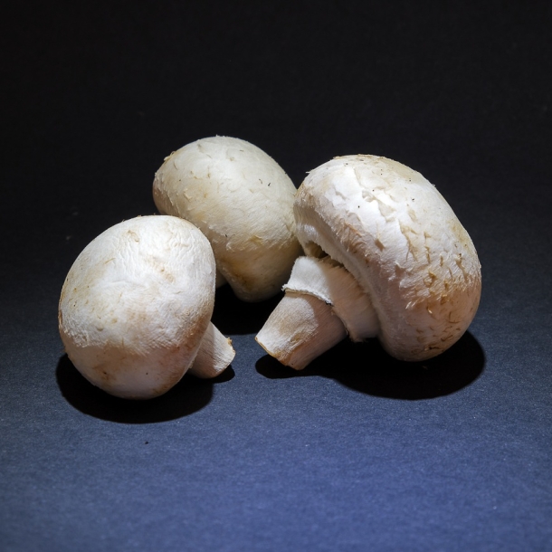 Champignons
