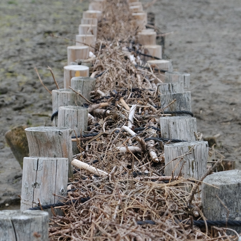 An der Nordsee 2021