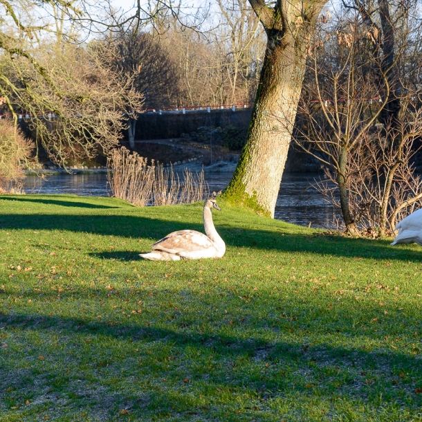 Schloss Gravenstein (DK) 2018
