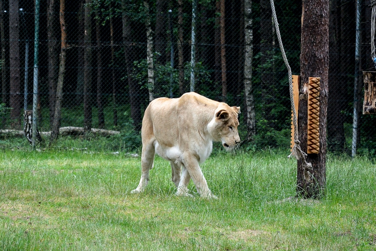 Serengeti Park Hodenhagen