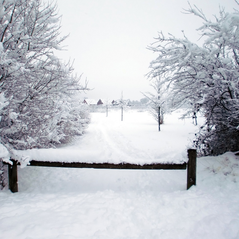 Winter 2010