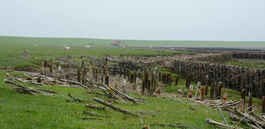 An der Nordsee 2021